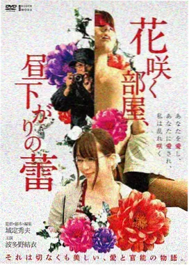 收藏编号查询页上线